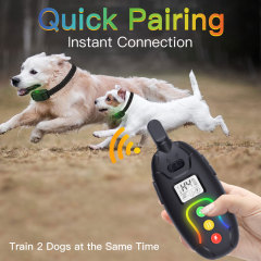 SMART PET TRAINING