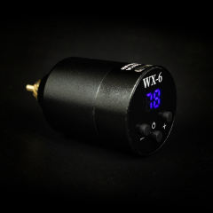 Pila WX-6