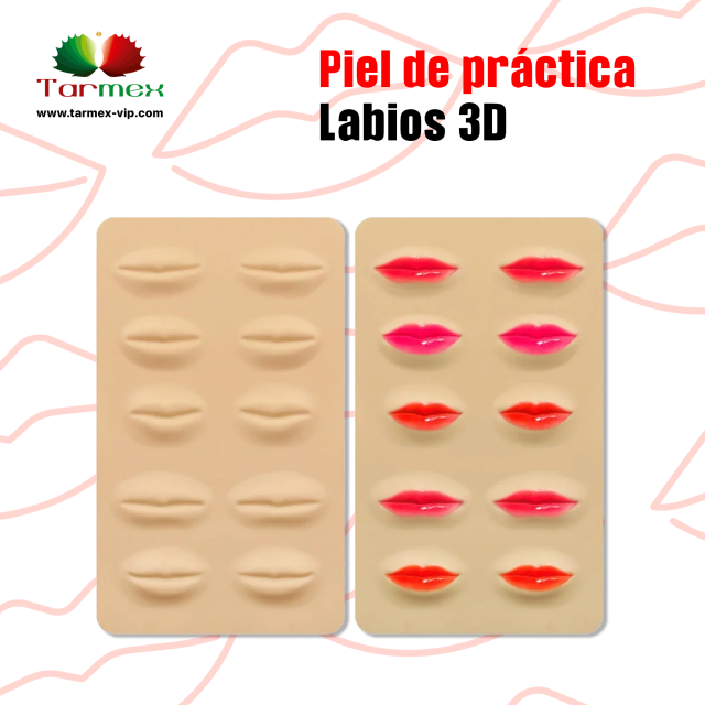 Piel de práctica Labios 3D