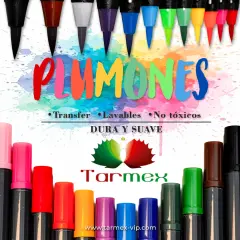 Plumones (Set)