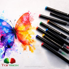 Set de Plumones Para Tattoo