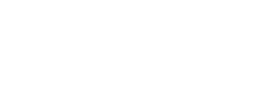 Vixer