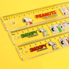 40 pcs=$21.5 Ruler 15CM