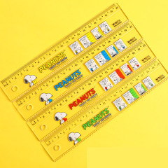 40 pcs=$21.5 Ruler 15CM