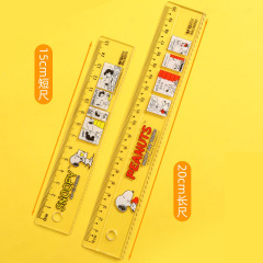 40 pcs=$21.5 Ruler 15CM