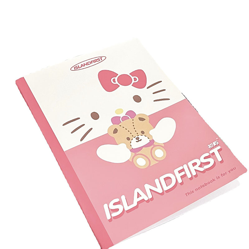 6 pcs=$23.8 B5 Notebook