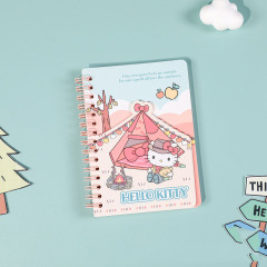 12 pcs=$47.5 Notebook