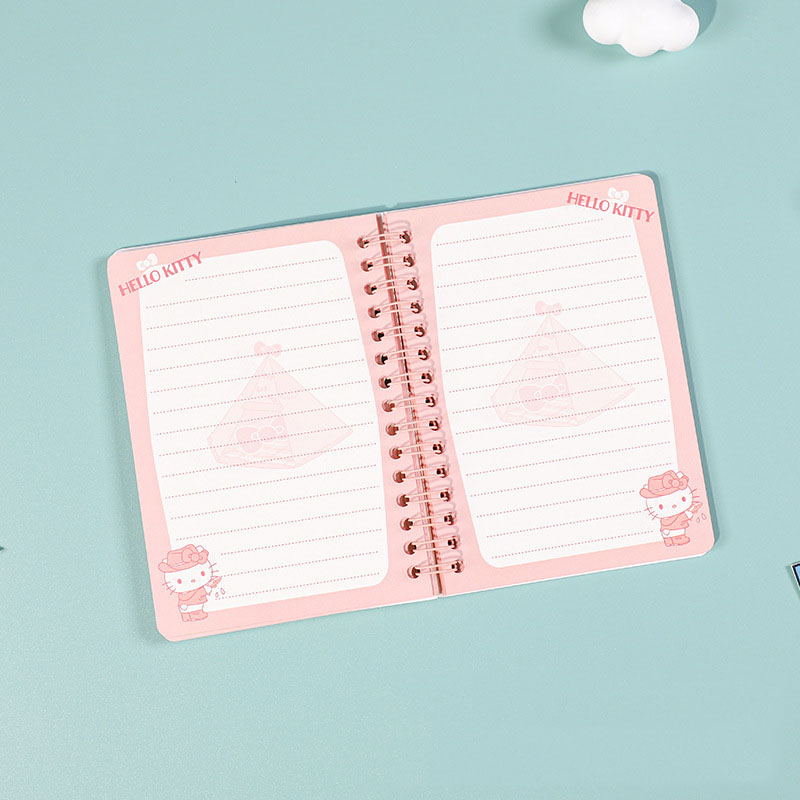 12 pcs=$47.5 Notebook