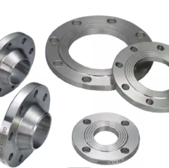 ASTM S32205 S32750 S32760 Duplex Stainless Steel Forged Flange