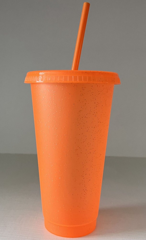 16oz/24oz Plastic Acrylic single Wall reuseble Tumbler with Plastic Straw - Chinese Warehouse