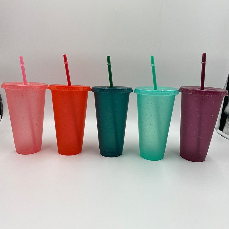 16oz/24oz Plastic Acrylic single Wall reuseble Tumbler with Plastic Straw - Chinese Warehouse