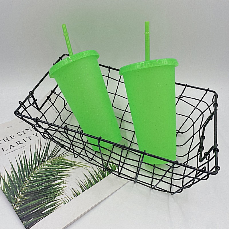 24oz case of 200pack Plastic Single Wall reusable light Green Tumbler with Plastic Straw - Chinese Warehouse