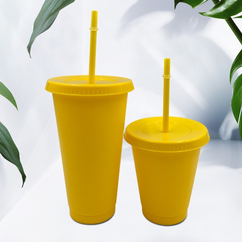 16oz/24oz case of 200pack Plastic Single Wall reusable New Color Tumbler with Plastic Straw - Chinese Warehouse