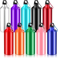 Aluminum Sports Bottle