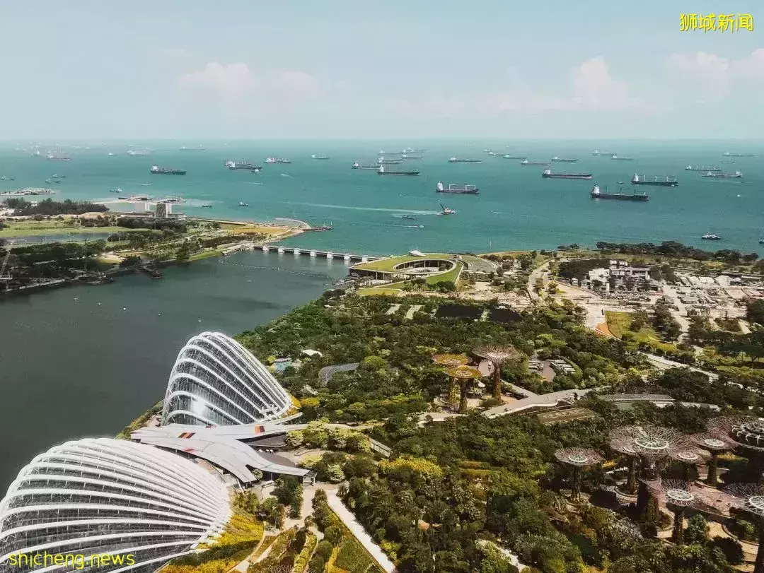 中国清零管控 催出移民留学热潮