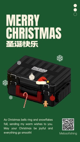 Merry Christmas and Happy New Year