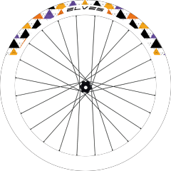 26