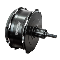 P160 ALL-IN-ONE Rear Motor