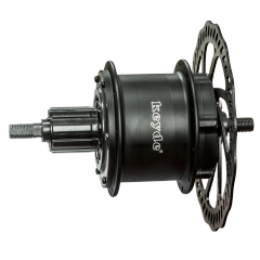 S100 Rear Motor