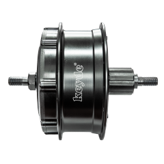 P130 ALL-IN-ONE Rear Motor