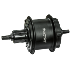 S100 Rear Motor