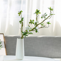 Matorino -Ceramic Flower Vase, Minimalist Design for Home Décor, Fireplace, Bedroom, Kitchen, Living Room, Centerpieces, Office Desk.