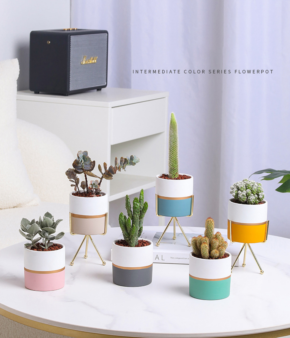 Matorino -Plant Pots Indoor 4.7 Inch Ceramic Planters, Matte Flower Pots  with Drainage Hole for Home