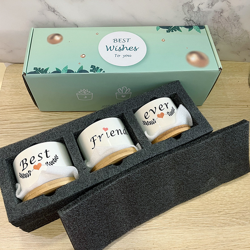 Matorino -Birthday Gifts from Sister Brother, Ceramic Succulent Pots for Plants Indoor Gift Boxed 3pcs