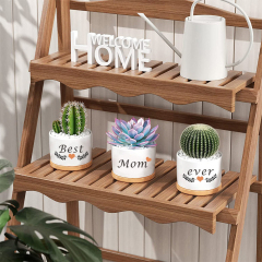 Matorino -Birthday Gifts from Sister Brother, Ceramic Succulent Pots for Plants Indoor Gift Boxed 3pcs