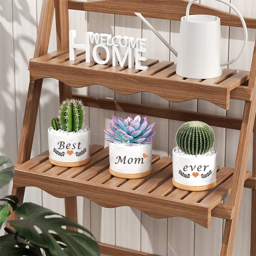 Matorino -Birthday Gifts from Sister Brother, Ceramic Succulent Pots for Plants Indoor Gift Boxed 3pcs
