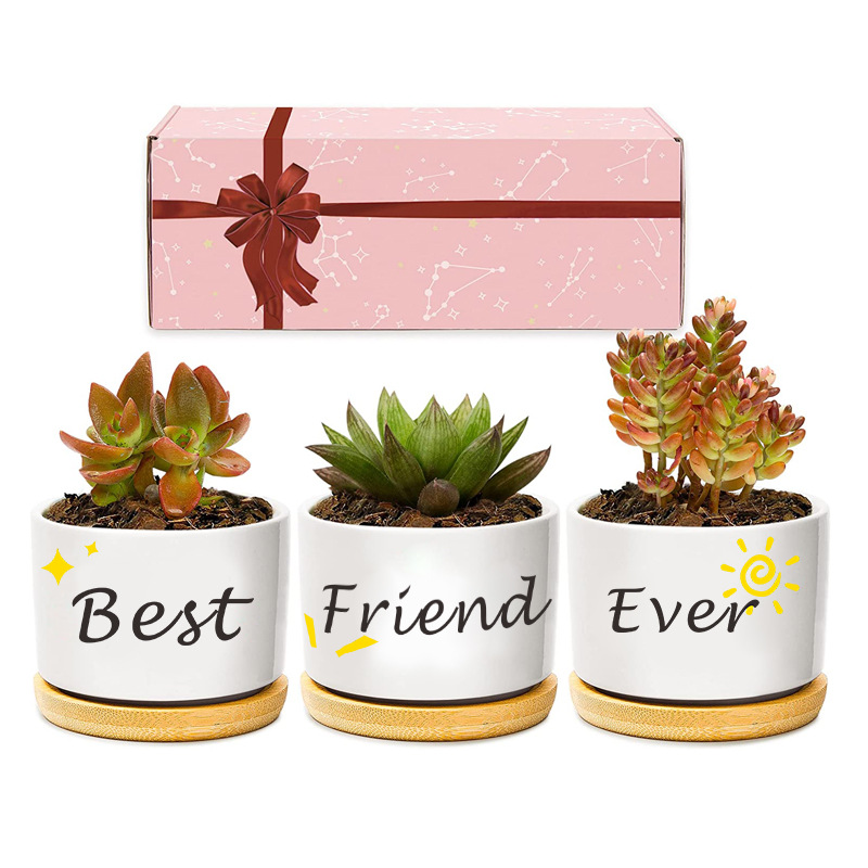 Matorino -Birthday Gifts from Sister Brother, Ceramic Succulent Pots for Plants Indoor Gift Boxed 3pcs