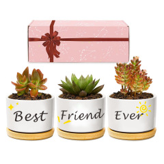 Matorino -Birthday Gifts from Sister Brother, Ceramic Succulent Pots for Plants Indoor Gift Boxed 3pcs