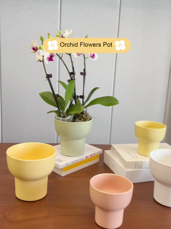 Matorino -Ceramic Plant Pots None Tray, Modern Decorative Gardening Pot with Drainage for All House Plants, a Set of 4, White and 4.7 Inch, for Flowers, Herbs, African Violets, Succulents, Aloe, Ivy.