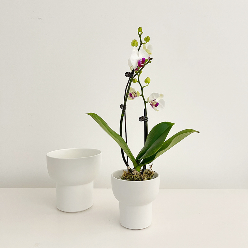 Matorino -Ceramic Plant Pots None Tray, Modern Decorative Gardening Pot with Drainage for All House Plants, a Set of 4, White and 4.7 Inch, for Flowers, Herbs, African Violets, Succulents, Aloe, Ivy.