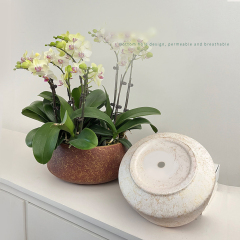 Matorino -Ceramic Plant Pots, 5.3+8.2+10.4 inch, Set of 3, Planters with Drainage Hole and Saucer, Indoor Flower Pot with Hole Mesh Pad, Best Gifts.