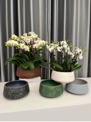 Matorino -Ceramic Plant Pots, 5.3+8.2+10.4 inch, Set of 3, Planters with Drainage Hole and Saucer, Indoor Flower Pot with Hole Mesh Pad, Best Gifts.