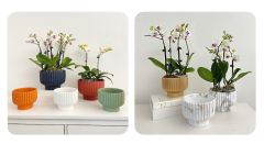 Matorino -2 Pack Ceramic Plant Pots, Flower Pot Set, Planter Set with Drainage Hole for Indoor Plants, Cactus, Succulent, Snake Plants, Bamboo, Clay Pottery Garden Pots for Outdoor .