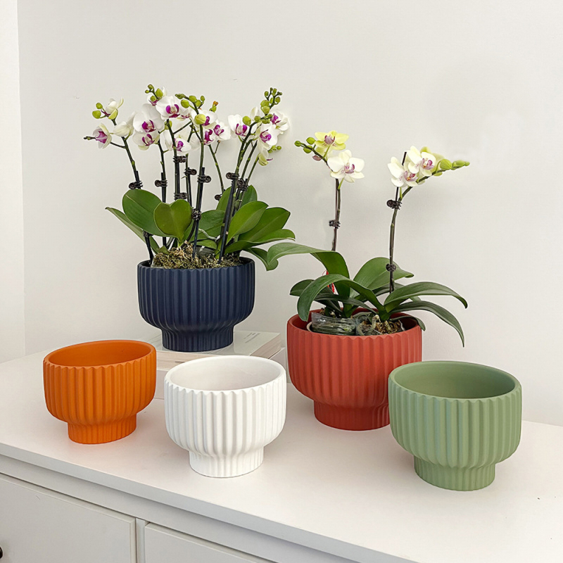 Matorino -2 Pack Ceramic Plant Pots, Flower Pot Set, Planter Set with Drainage Hole for Indoor Plants, Cactus, Succulent, Snake Plants, Bamboo, Clay Pottery Garden Pots for Outdoor .