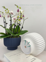 Matorino -2 Pack Ceramic Plant Pots, Flower Pot Set, Planter Set with Drainage Hole for Indoor Plants, Cactus, Succulent, Snake Plants, Bamboo, Clay Pottery Garden Pots for Outdoor .