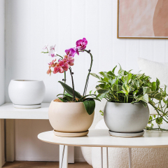 Matorino -8 Inch Flower Pots Outdoor Garden Planters, Indoor Plant Pots with Drainage Holes.