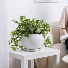 Matorino -8 Inch Flower Pots Outdoor Garden Planters, Indoor Plant Pots with Drainage Holes.