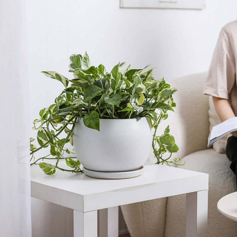 Matorino -8 Inch Flower Pots Outdoor Garden Planters, Indoor Plant Pots with Drainage Holes.