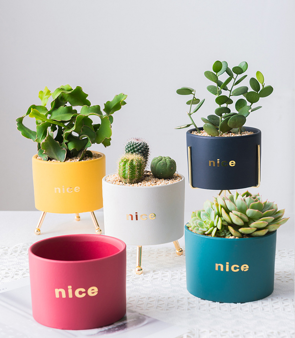 Matorino -Ceramic Succulent Planter Pot, Mini Cactus Indoor Plants Garden Container Planting Metal Stand Decor Office with Drainage.