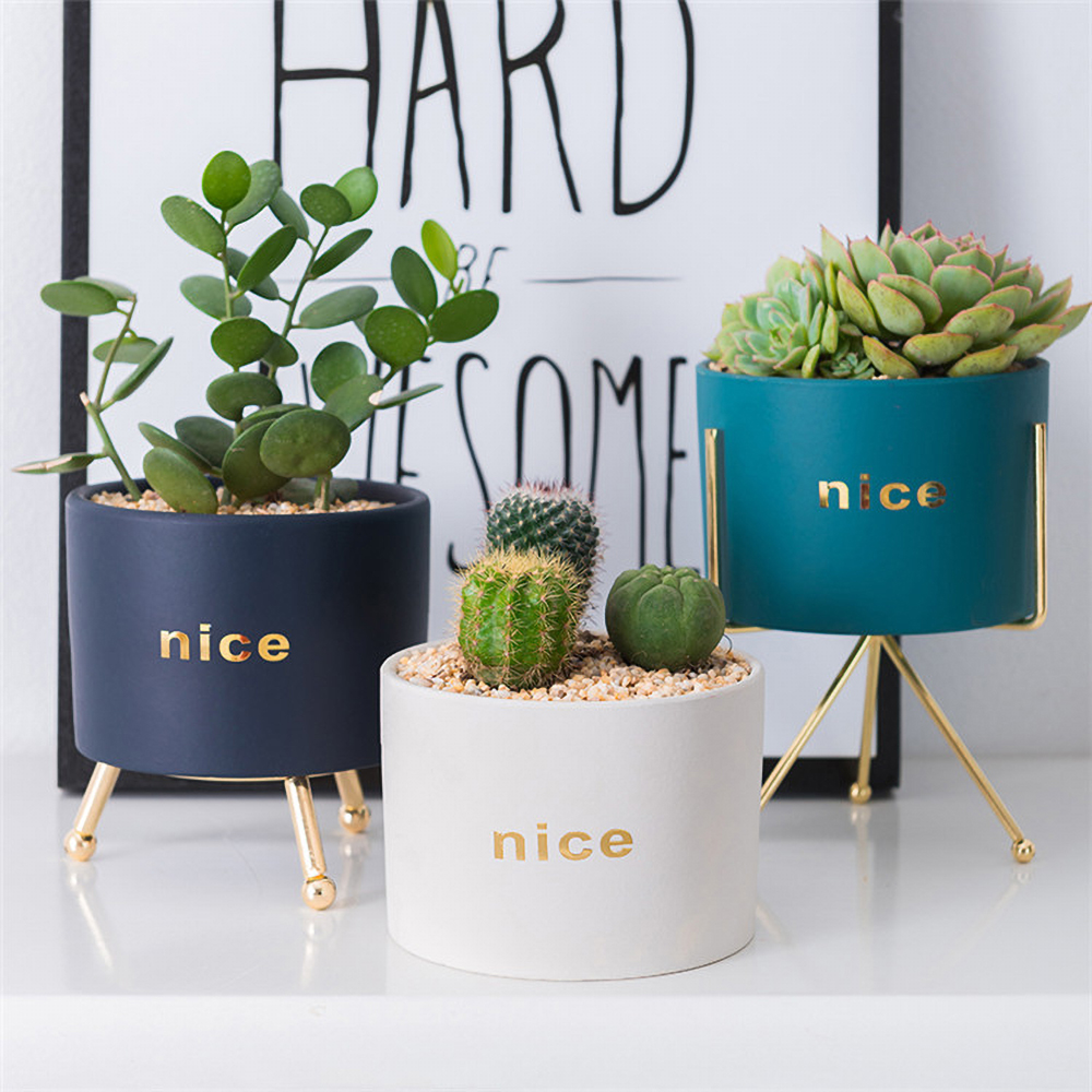 Matorino -Ceramic Succulent Planter Pot, Mini Cactus Indoor Plants Garden Container Planting Metal Stand Decor Office with Drainage.