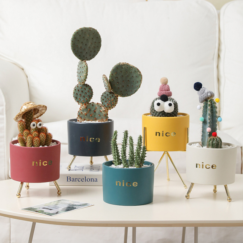 Matorino -Ceramic Succulent Planter Pot, Mini Cactus Indoor Plants Garden Container Planting Metal Stand Decor Office with Drainage.