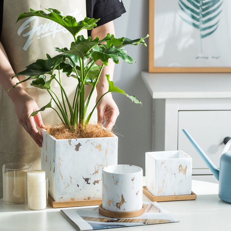 Matorino -Ceramic Plant Pot with Golden Saucer, Water Transfer Printing Pots with Drainage Hole for Succulent, Indoor Flowers, Snake Plants, Cactus, Herbs,Three Colors.