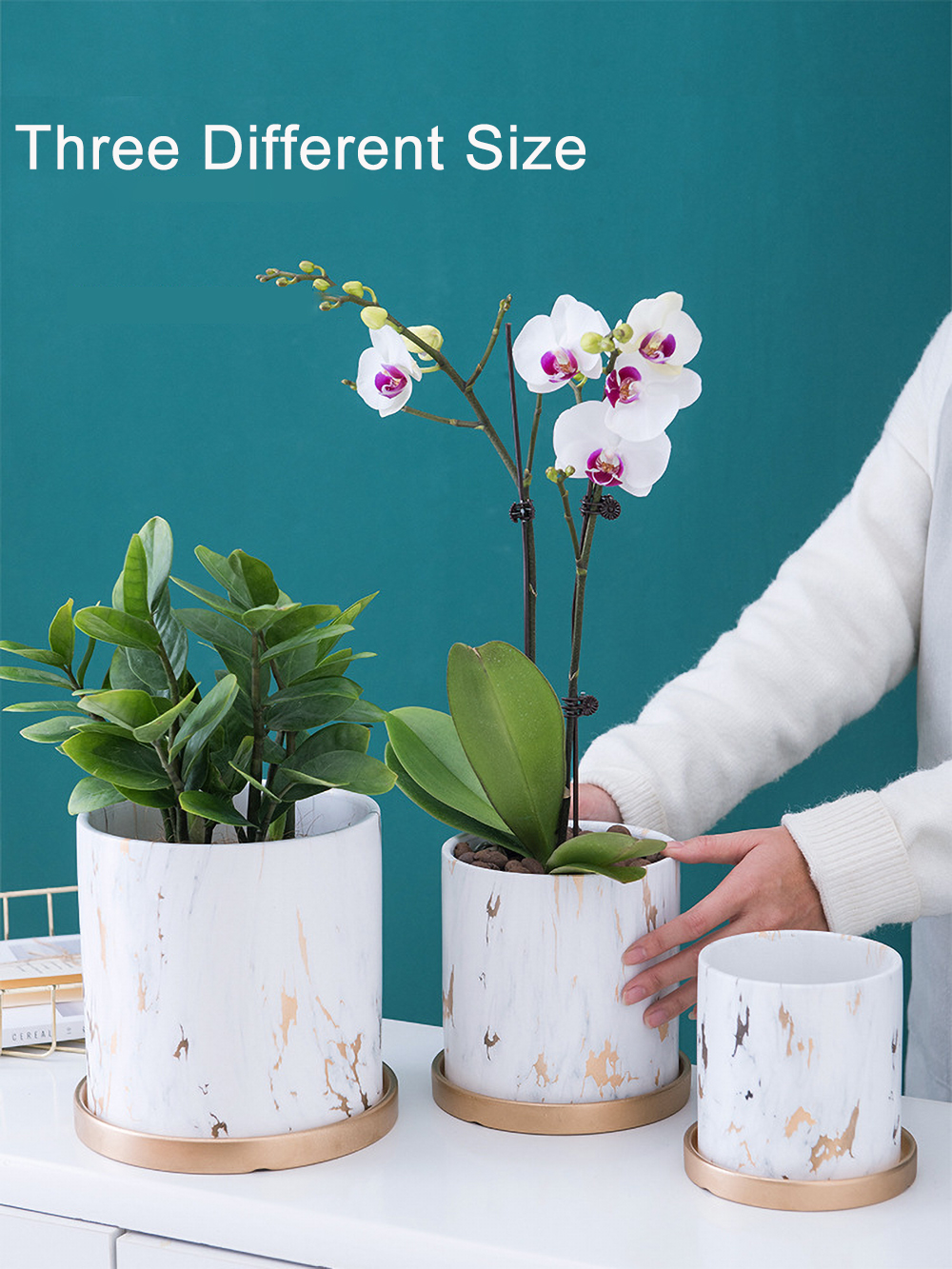 Matorino -Ceramic Plant Pot with Golden Saucer, Water Transfer Printing Pots with Drainage Hole for Succulent, Indoor Flowers, Snake Plants, Cactus, Herbs,Three Colors.