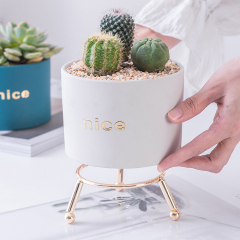 Matorino -Ceramic Succulent Planter Pot, Mini Cactus Indoor Plants Garden Container Planting Metal Stand Decor Office with Drainage.