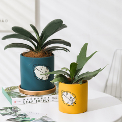 Matorino -Plant pot with Drainage and Saucer, Ceramic Planters Indoor Plants, Flower Pot Outdoor, Leaf Printing Indoor Pots for Plants.