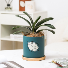 Matorino -Plant pot with Drainage and Saucer, Ceramic Planters Indoor Plants, Flower Pot Outdoor, Leaf Printing Indoor Pots for Plants.